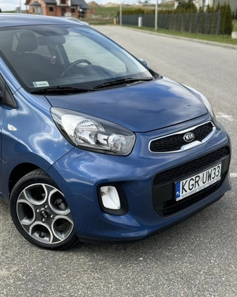 Kia Picanto cena 35500 przebieg: 40000, rok produkcji 2016 z Brusy małe 301